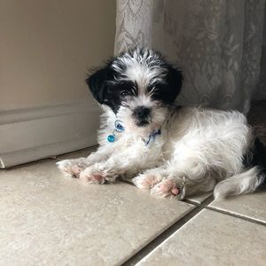 Meet your Posher, Aymee